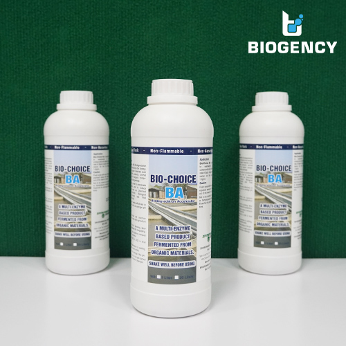 Bio Choice Ba Enzyme Phân Hủy Chất Hữu Cơ 4