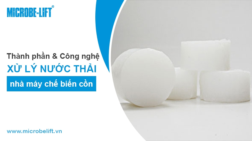 Environmental 4 Xu Ly Nuoc Thai Nha May Che Bien Con