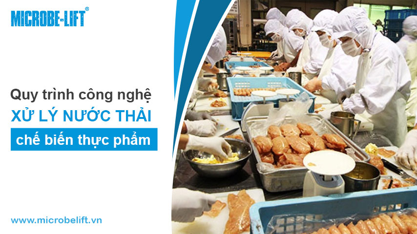 Environmental 5 Xu Ly Nuoc Thai Che Bien Thuc Pham