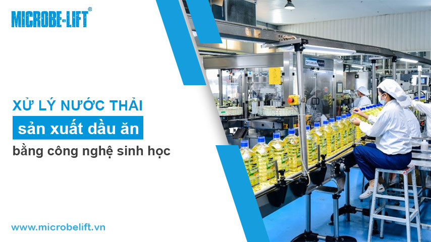 Environmental 7 Xu Ly Nuoc Thai San Xuat Dau An