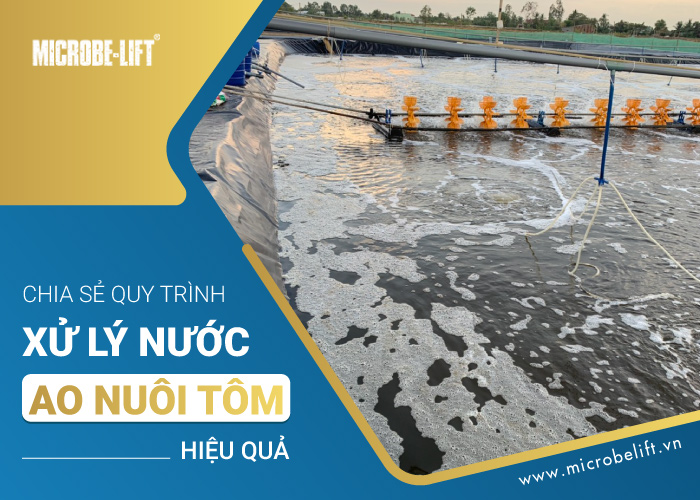 Equac 6 Quy Trinh Xu Ly Nuoc Ao Nuoi Tom 1