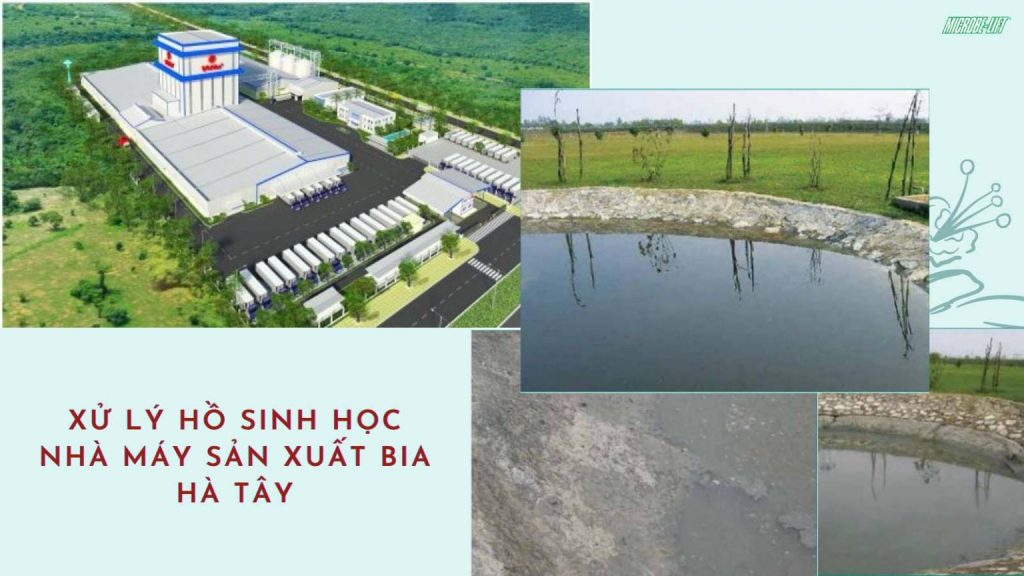 Blog 2 Xu Ly Ho Sinh Hoc Nha May Bia Ha Tay 1536x864
