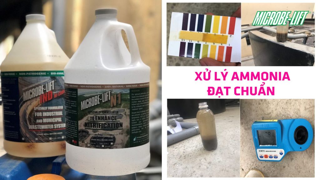 Blog 6 Xu Ly Ammonia Dat Chuan Xa Thai Trong He Thong Xu Ly Nuoc Thai Sinh Hoat 1536x864