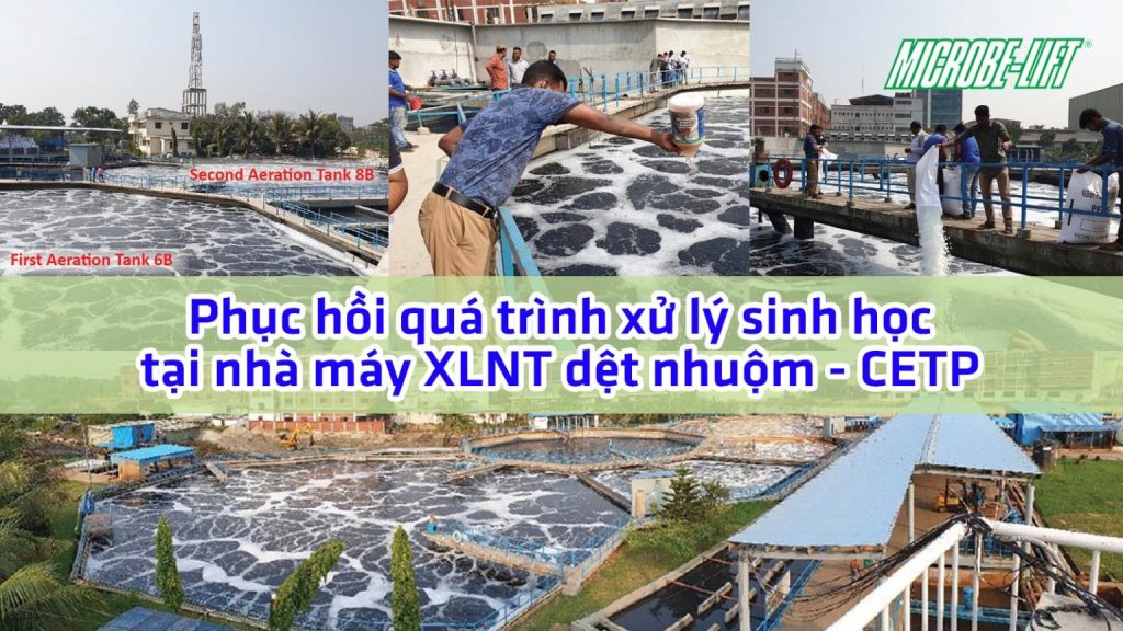 Blog 7 Phuc Hoi Qua Trinh Xu Ly Sinh Hoc Tai Nha May Xu Ly Nuoc Thai Det Nhuom Cetp 1536x864