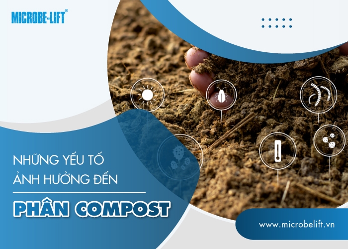 New Agricu 1 Yeu To Anh Huong Phan Compost 1
