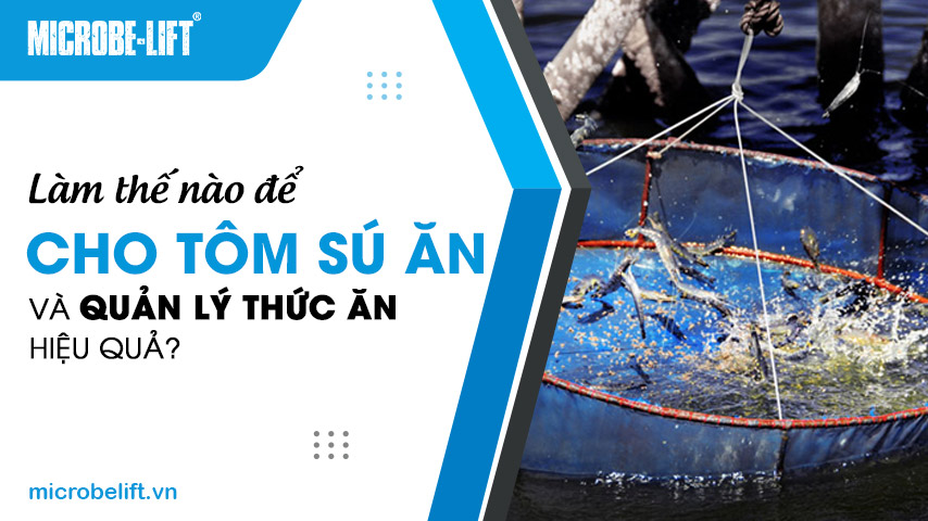 New Seafood 1 Cho Tom Su An